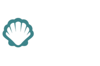 Logo Camino desde Vigo